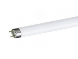 ЛЮМИНЕСЦЕНТНАЯ ЛАМПА FT8 10w/54  0,4м Camelion