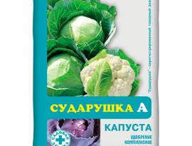 СУДАРУШКА-капуста  60 гр